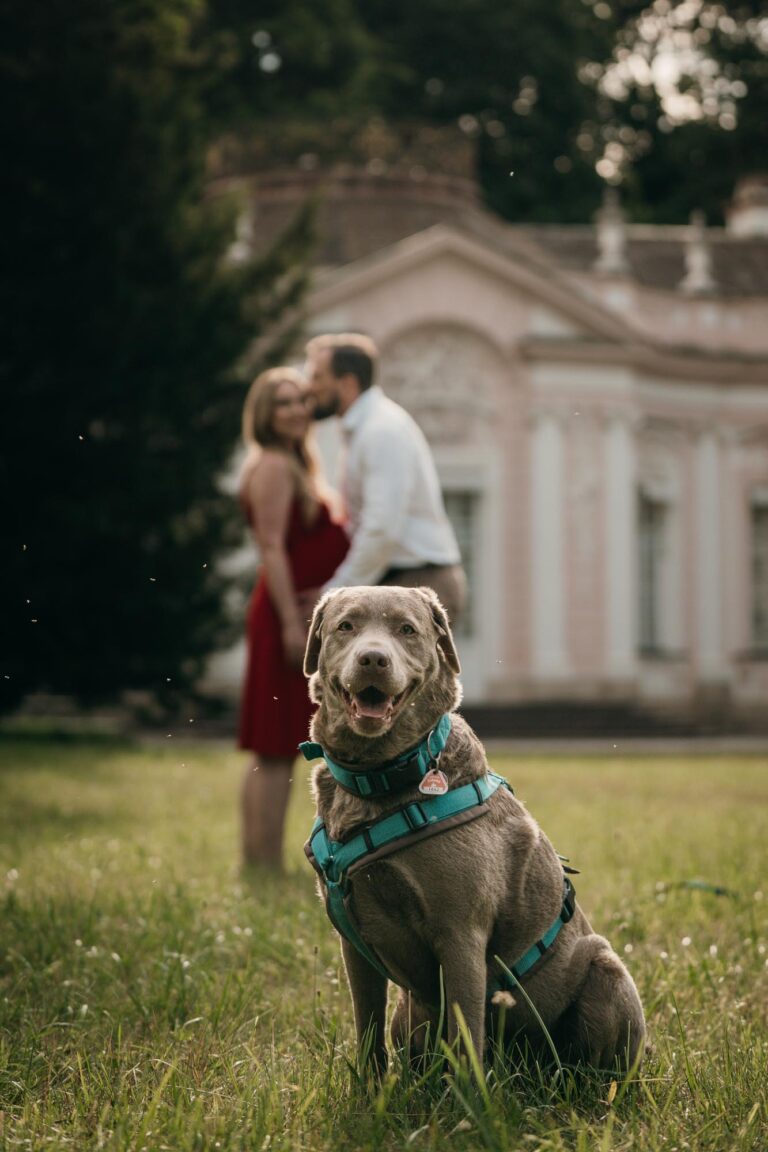 2025-06-27 Sandra-Carl-Donna © Miriam Mayer 00330